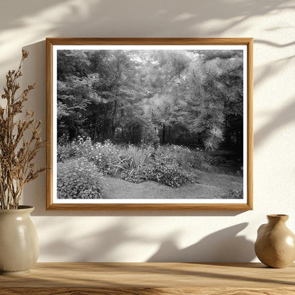 Staunton VA Architecture Photo, Carnegie Survey 20th Century