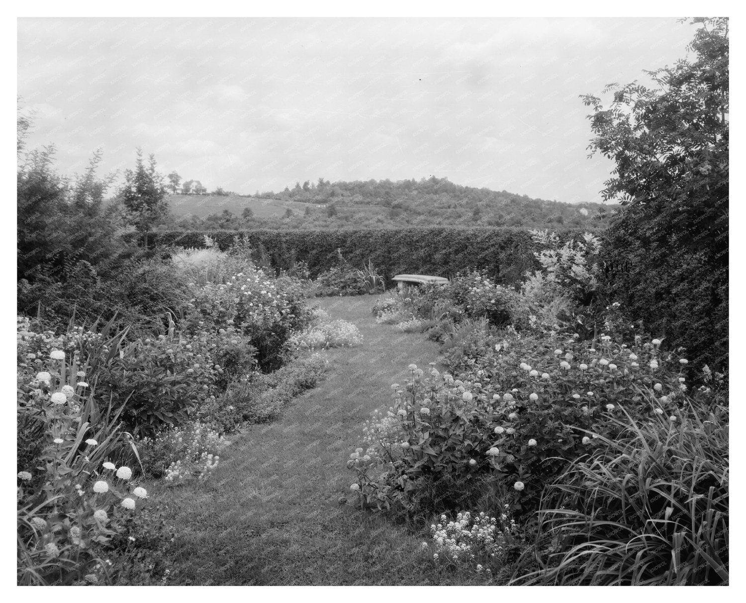 Staunton VA Gardens, Carnegie Survey, Early 20th Century