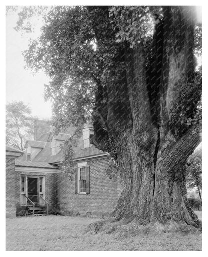 Charles City, VA Architecture - Vintage Photo 1900s