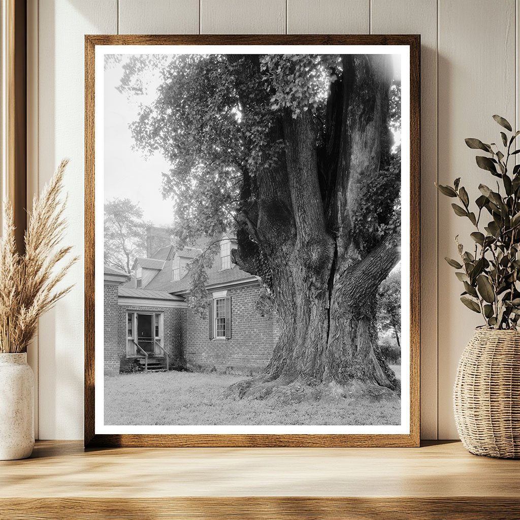 Charles City, VA Architecture - Vintage Photo 1900s