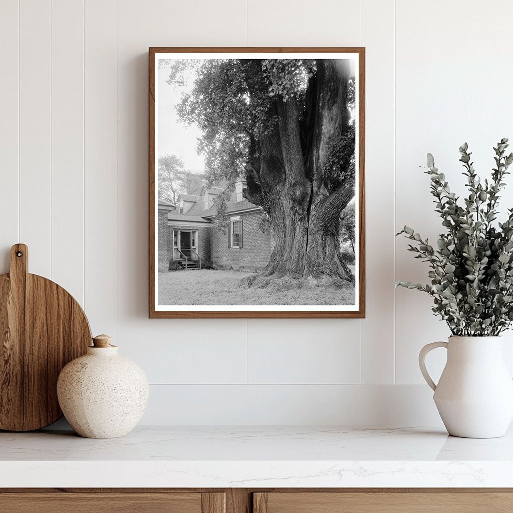 Charles City, VA Architecture - Vintage Photo 1900s