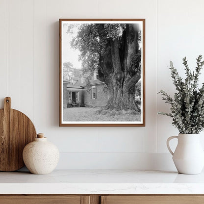 Charles City, VA Architecture - Vintage Photo 1900s