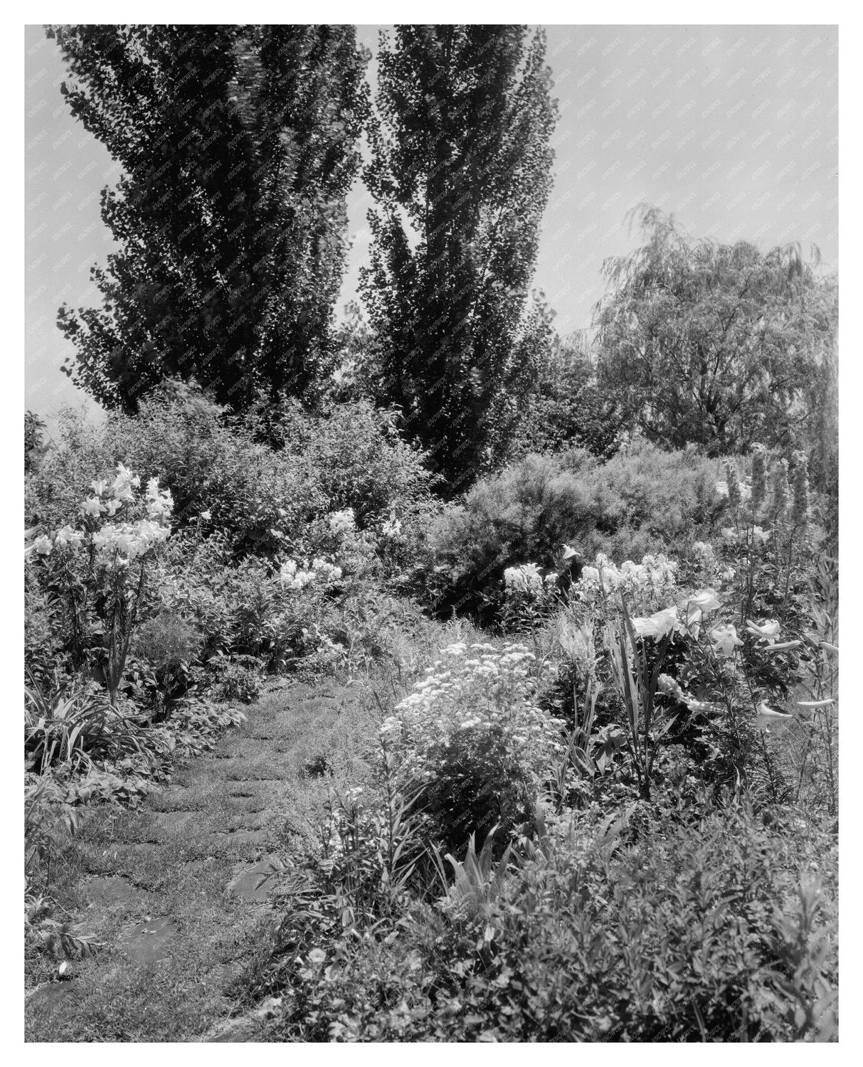 Lynchburg, VA Vintage Photo from Early 20th Century