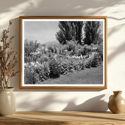 Lynchburg VA Garden Photo, Early 20th Century