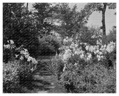 Early 1900s Gardens in Lynchburg, Virginia, Photo Archive