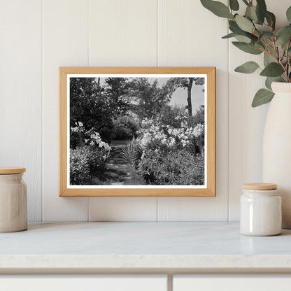 Early 1900s Gardens in Lynchburg, Virginia, Photo Archive