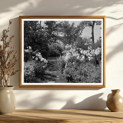 Early 1900s Gardens in Lynchburg, Virginia, Photo Archive
