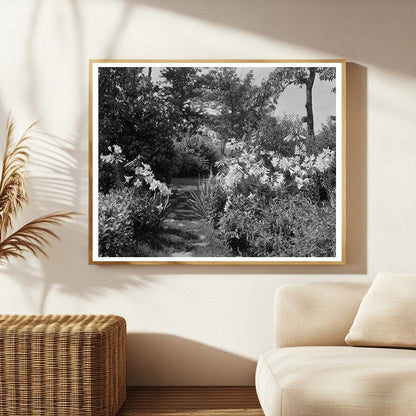 Early 1900s Gardens in Lynchburg, Virginia, Photo Archive