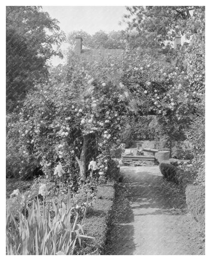 Shirley Plantation, Charles City, VA - Historic 1650 Estate