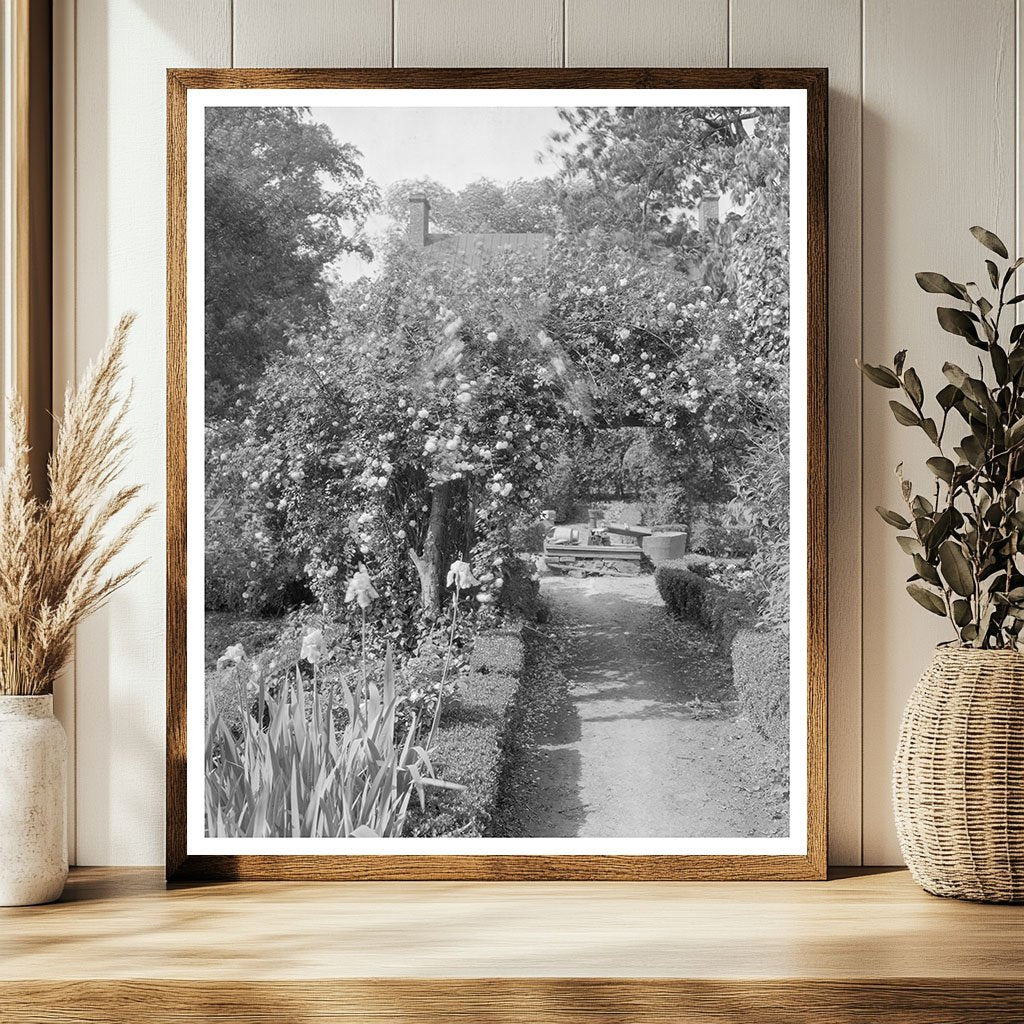 Shirley Plantation, Charles City, VA - Historic 1650 Estate