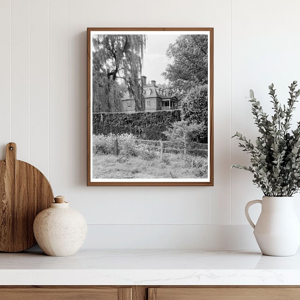 Shirley Estate Gardens, Charles City, VA 1953 Photo