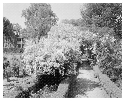 Shirley Estate, Charles City, VA - Colonial Heritage 1650
