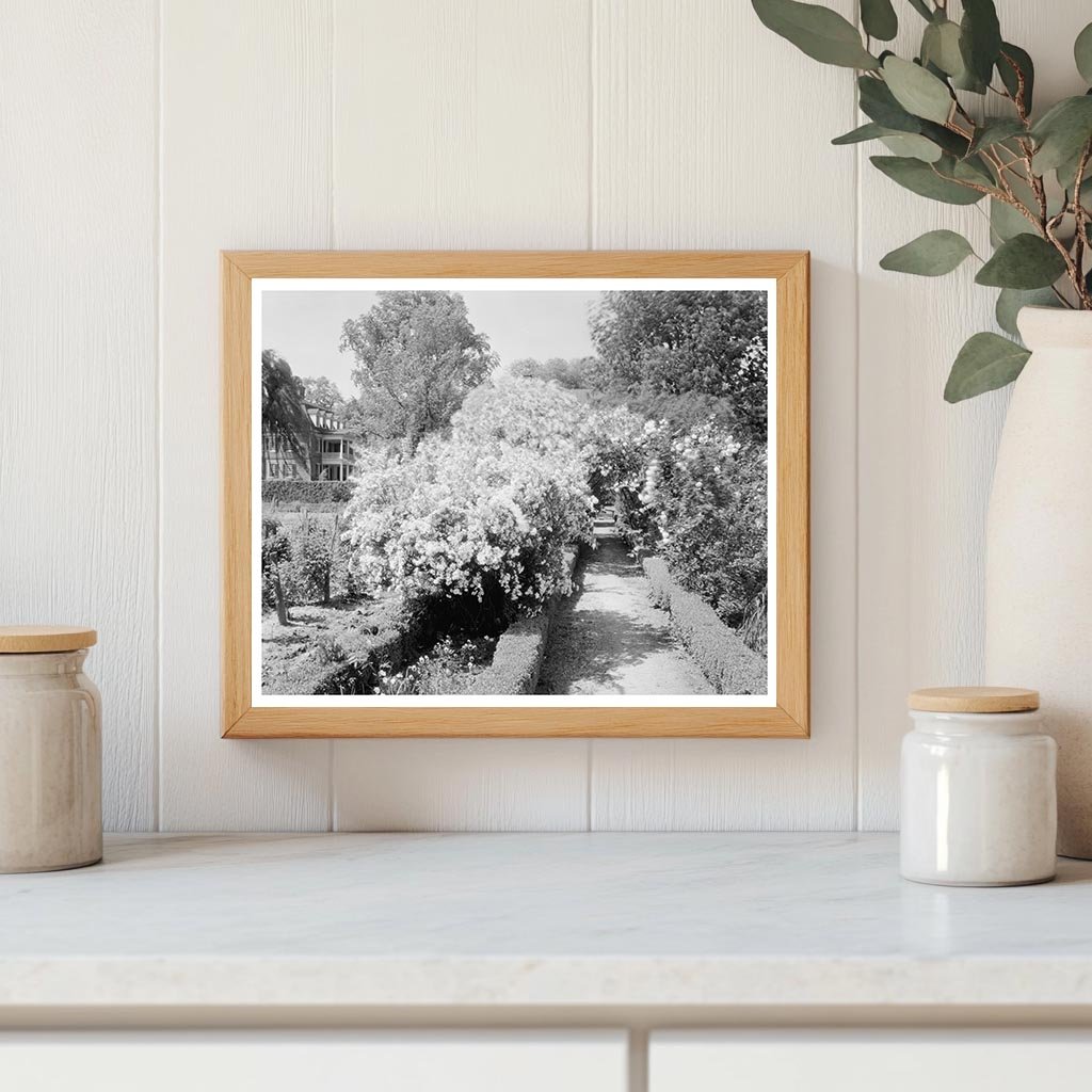 Shirley Estate, Charles City, VA - Colonial Heritage 1650