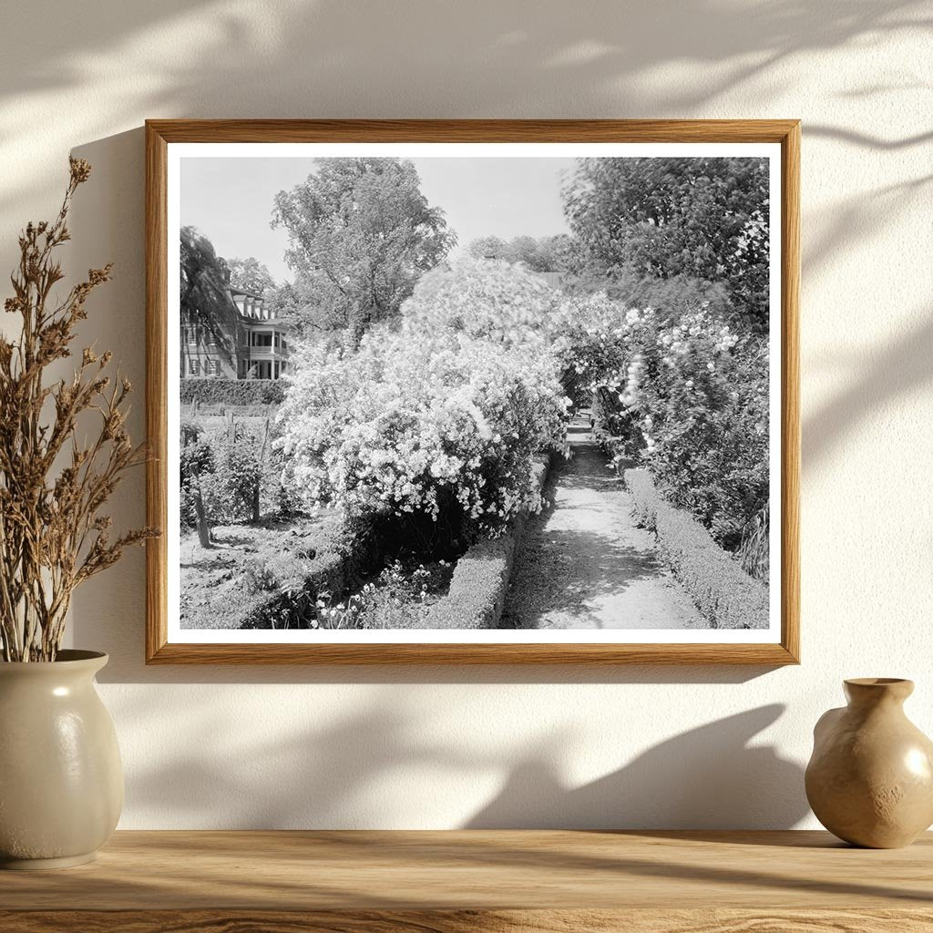 Shirley Estate, Charles City, VA - Colonial Heritage 1650