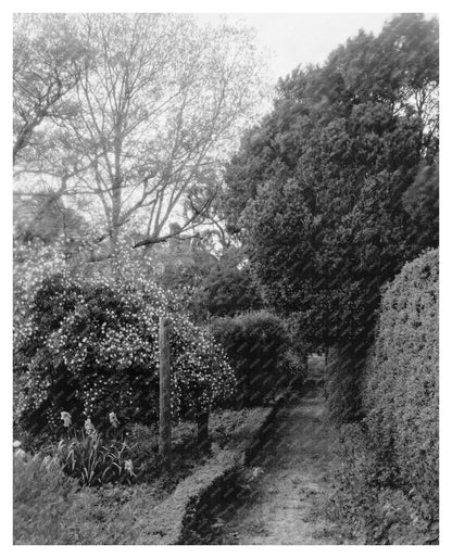 Shirley Plantation, Charles City VA, Historic Image 1650