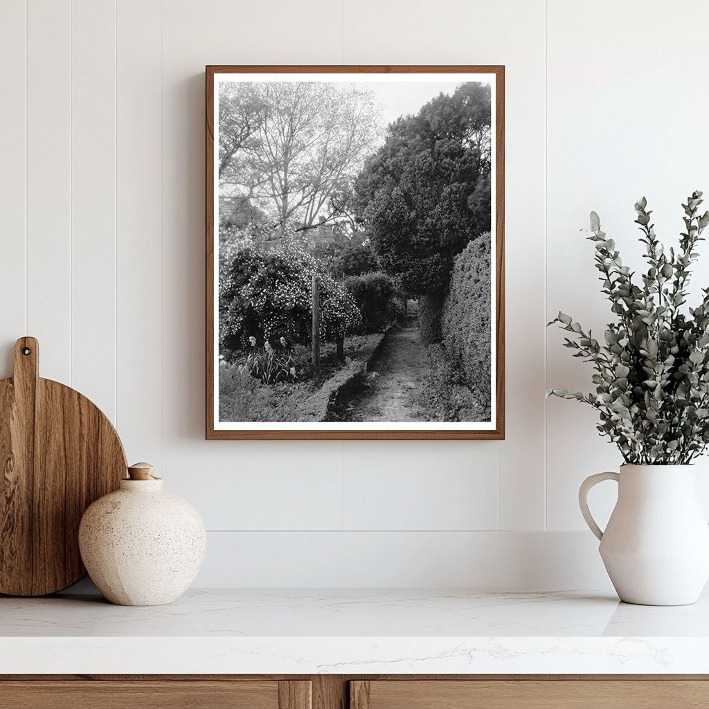 Shirley Plantation, Charles City VA, Historic Image 1650