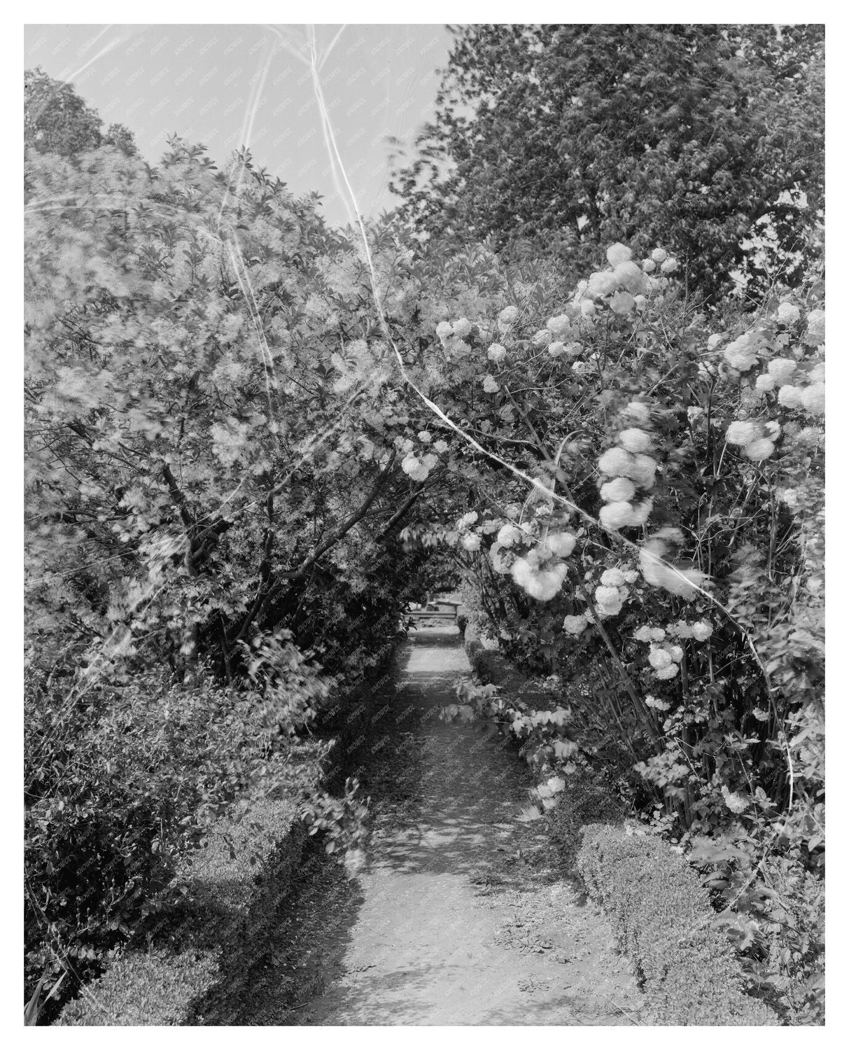 Shirley, VA Historic Estate Photo, 1650-2023