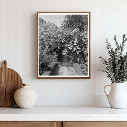 Shirley, VA Historic Estate Photo, 1650-2023