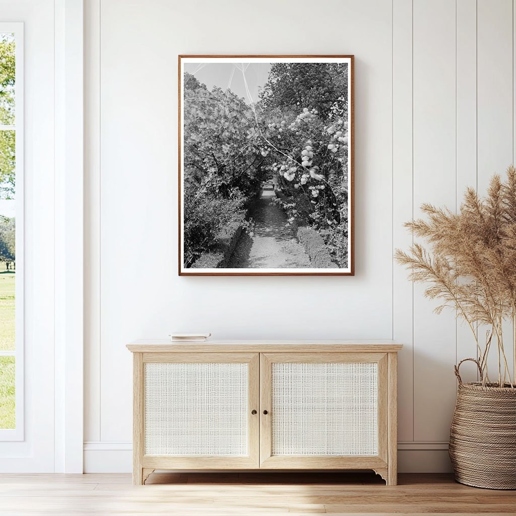 Shirley, VA Historic Estate Photo, 1650-2023