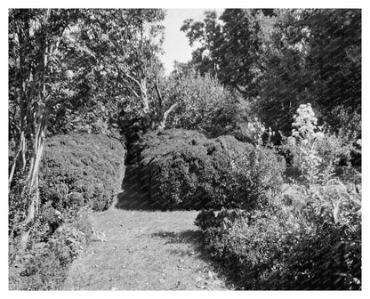 Vintage Estate Photo, Charles City, Virginia, 1730