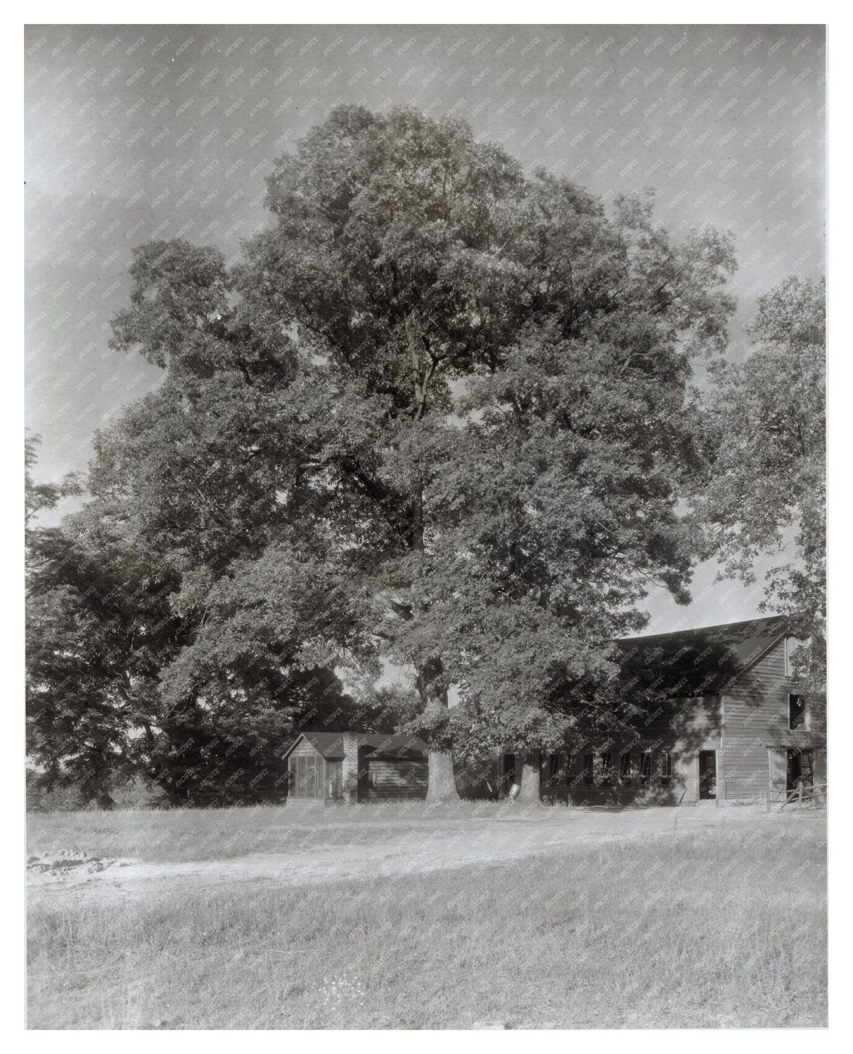 Midlothian Pike, Chesterfield VA, 1900s Architectural Photo