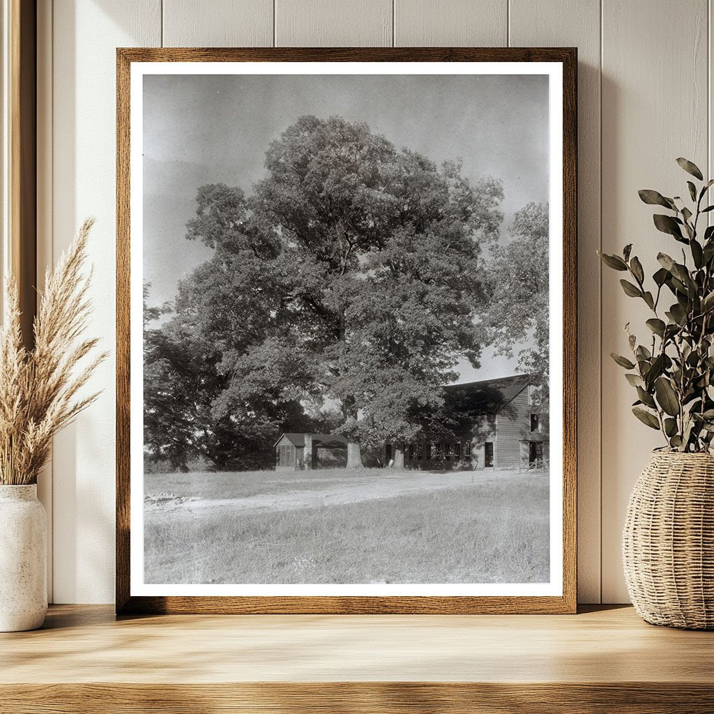 Midlothian Pike, Chesterfield VA, 1900s Architectural Photo