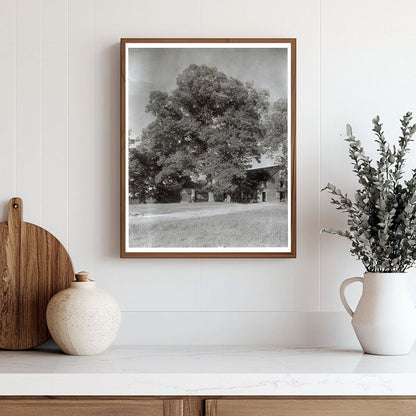 Midlothian Pike, Chesterfield VA, 1900s Architectural Photo