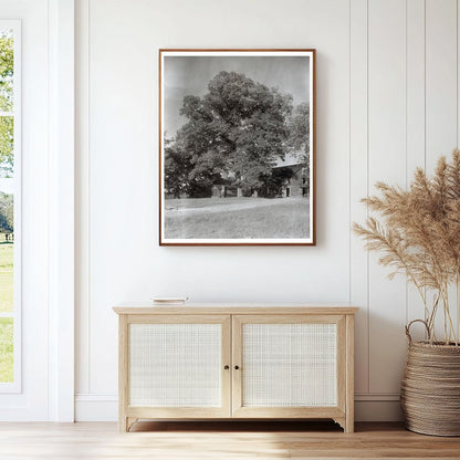 Midlothian Pike, Chesterfield VA, 1900s Architectural Photo