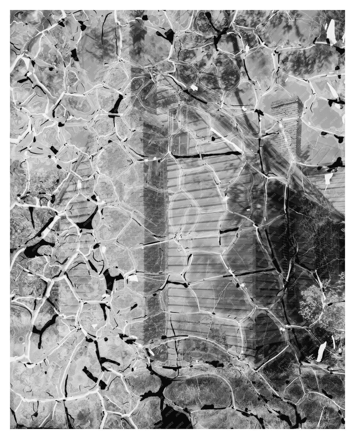 Blandfields, VA Architecture Photo, Mid-20th Century