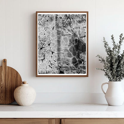 Blandfields, VA Architecture Photo, Mid-20th Century