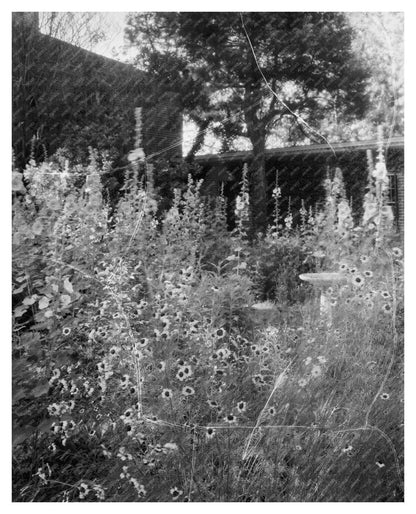 Historic Structure in Caret, VA, 1730 - Johnston Photograph