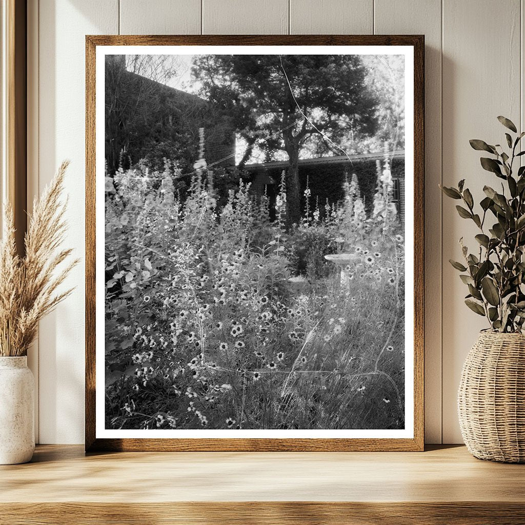 Historic Structure in Caret, VA, 1730 - Johnston Photograph