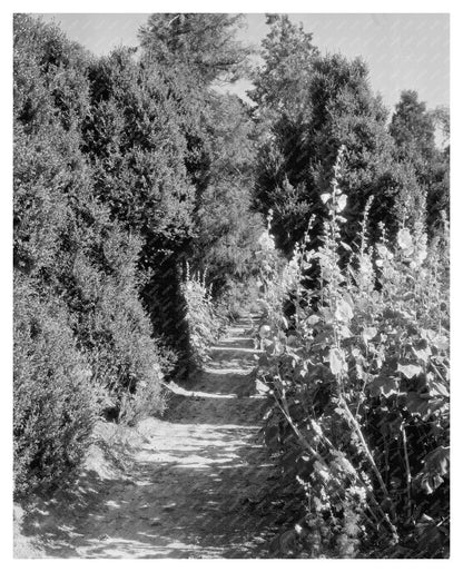 Historic 1812 Building in Fork Union, VA - Vintage Photograp