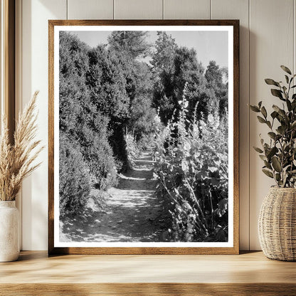 Historic 1812 Building in Fork Union, VA - Vintage Photograp