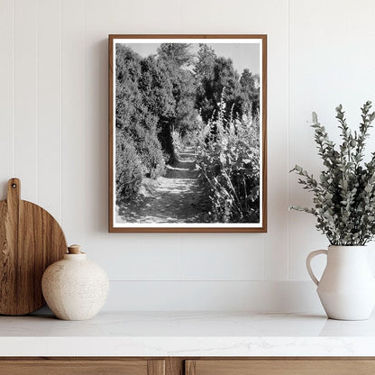 Historic 1812 Building in Fork Union, VA - Vintage Photograp