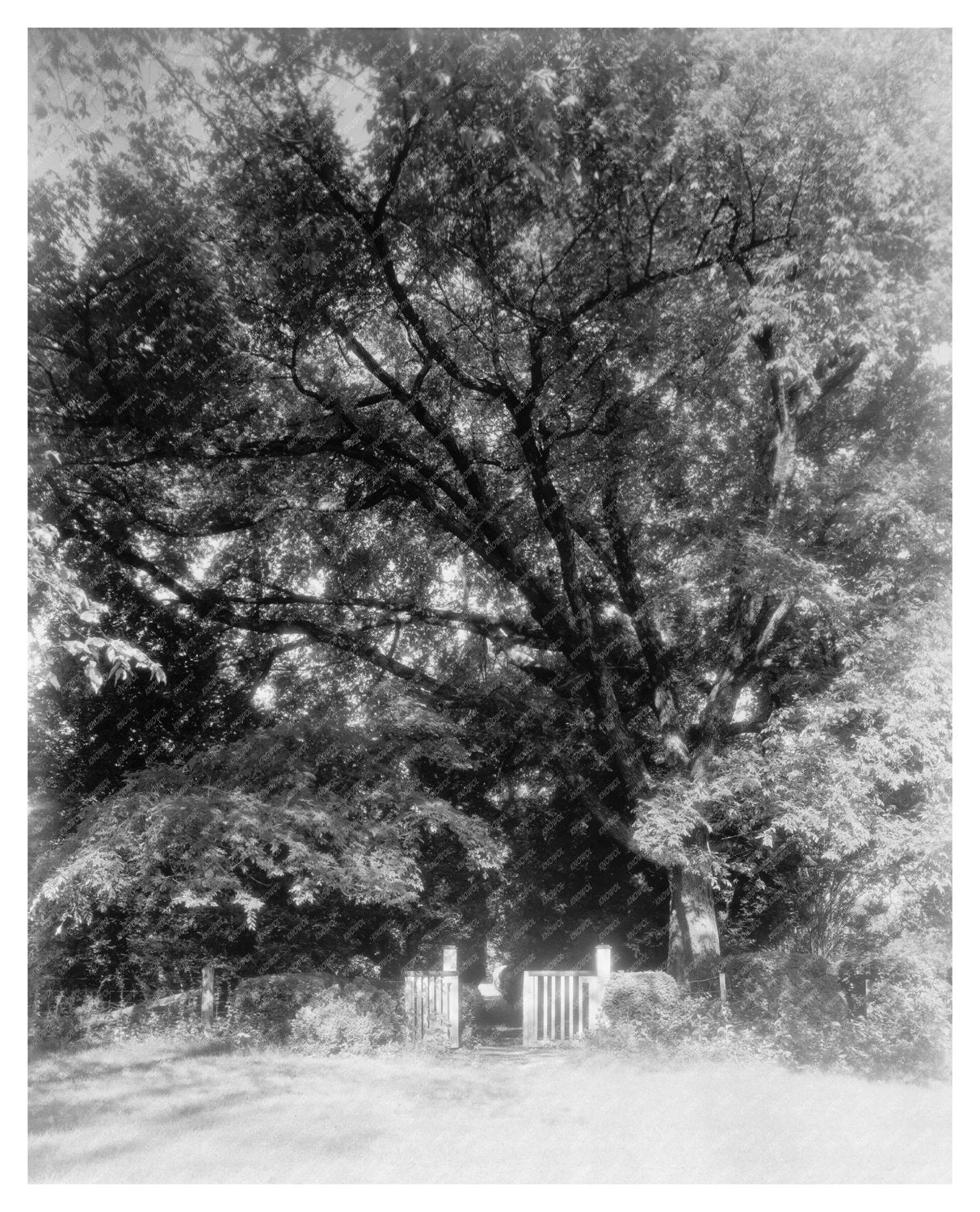 Goochland VA Historic Site Photo, c. 1712