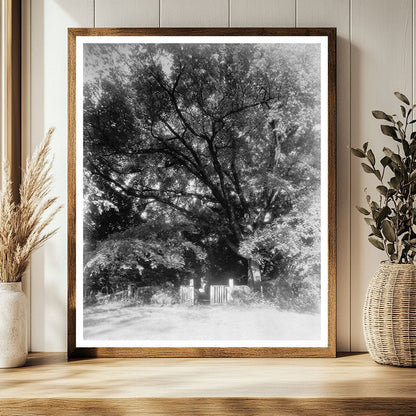 Goochland VA Historic Site Photo, c. 1712