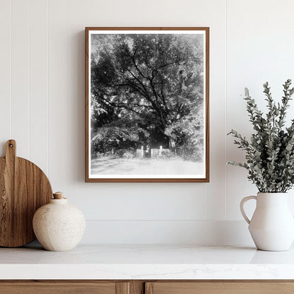 Goochland VA Historic Site Photo, c. 1712