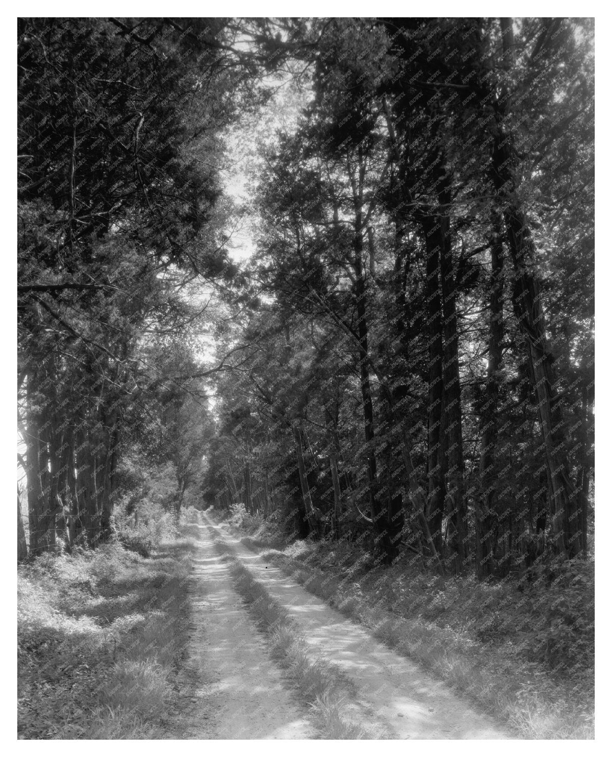 Goochland VA Landmark Photo, 1712 Architecture History