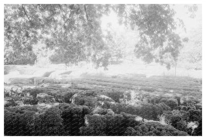 Vintage Photograph of 1712 Structure in Goochland, VA