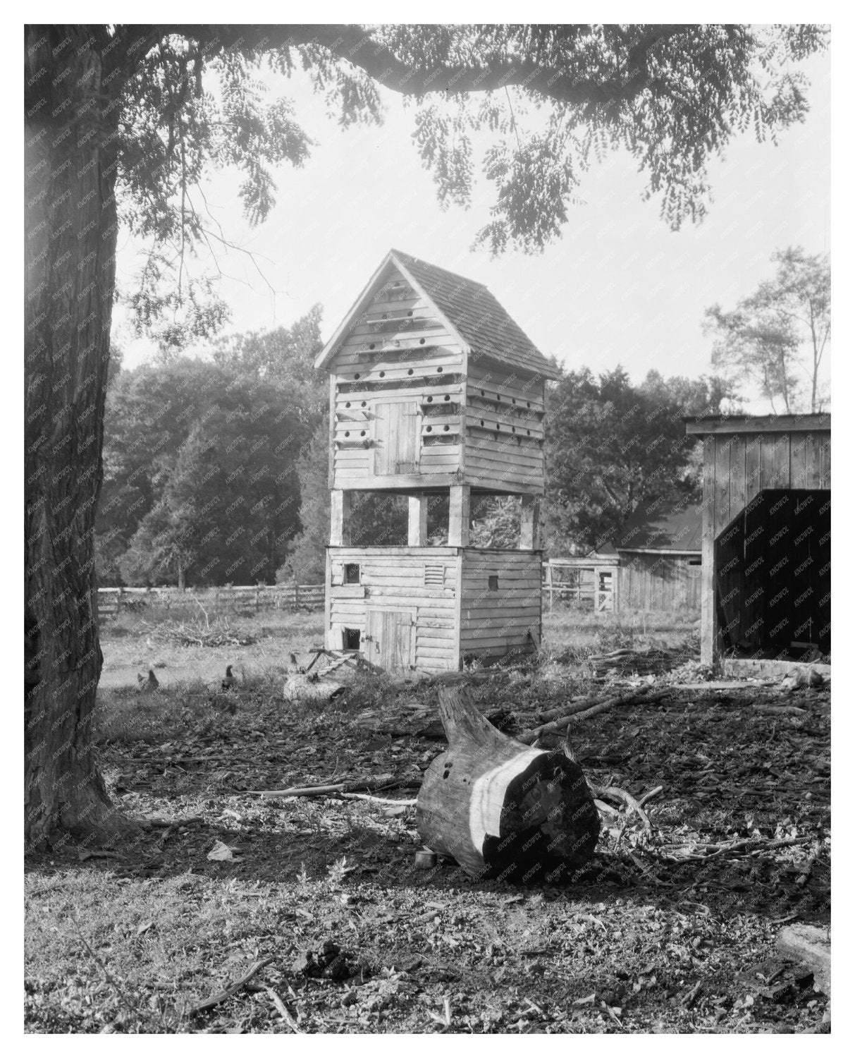 Vintage Photo of Ashland VA Building, Civil War History 1820
