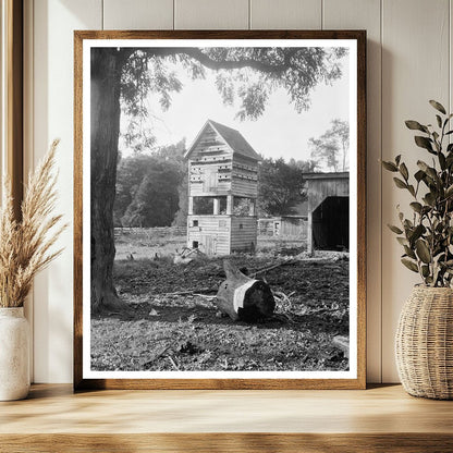 Vintage Photo of Ashland VA Building, Civil War History 1820