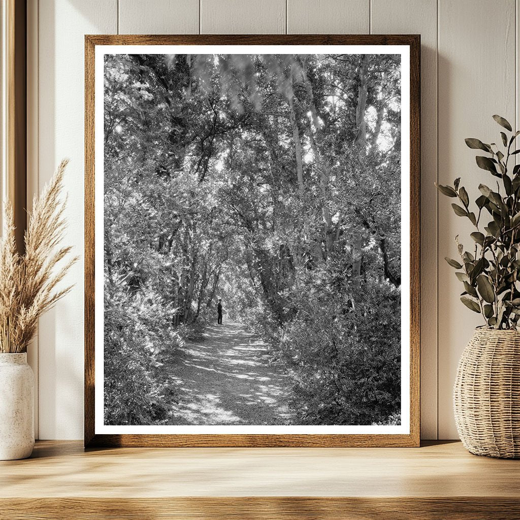 Ashland VA Hospital Building History 1820-1875