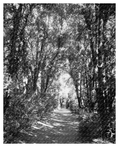 Ashland VA Historic Building Photo 1953