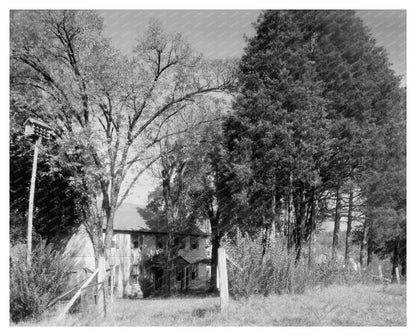 Rocketts Mill, Hanover County VA, Historical Photograph 1953