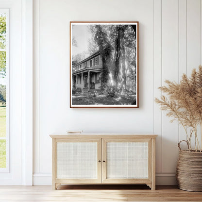 Cowslip Green Plantation, King & Queen County, VA, 20th Cent