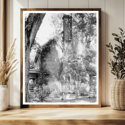 Cowslip Green Plantation Photo, King & Queen County, VA 1953