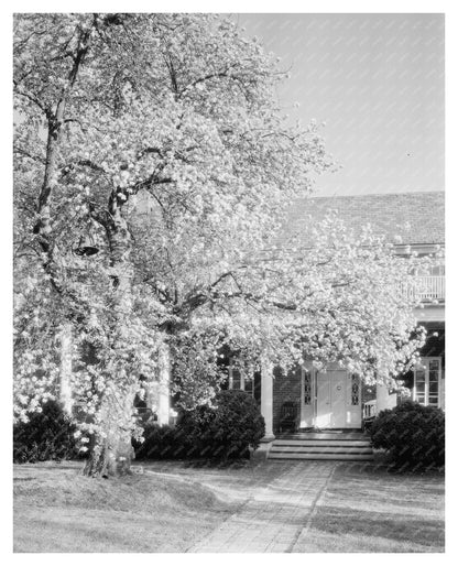 Vintage Garden Photo, Loudoun County, VA, 20th Century