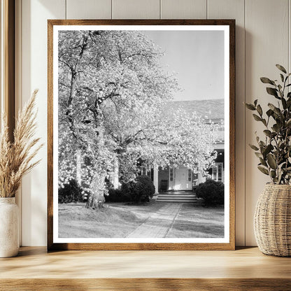 Vintage Garden Photo, Loudoun County, VA, 20th Century