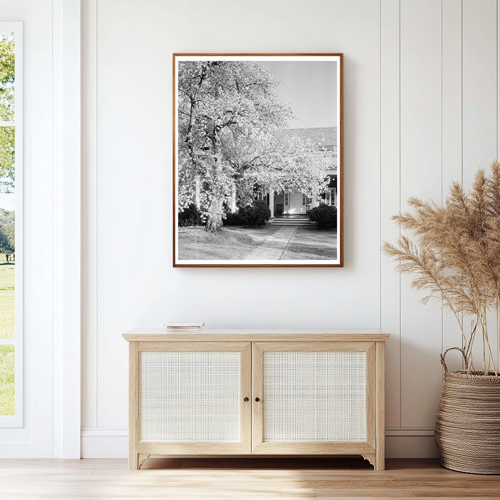 Vintage Garden Photo, Loudoun County, VA, 20th Century